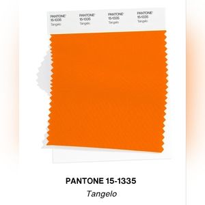 Tangelo Color Trend Spring Summer 2023 Pantone